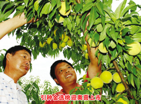 ��ͼ�ġ����ֽ�ѡ��ӭ��ϲ����