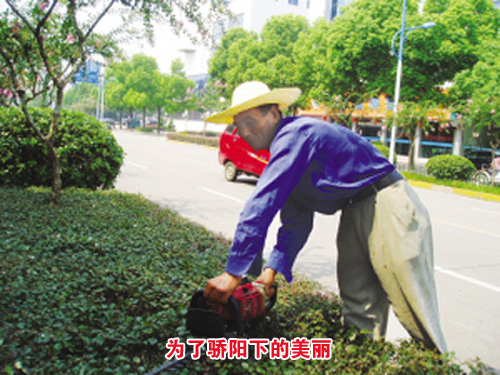 �������ֳ���Ϊ�˽����µ�����