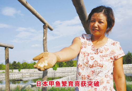 ��ͼ�ġ��ձ����㷱��ϲ��ͻ��