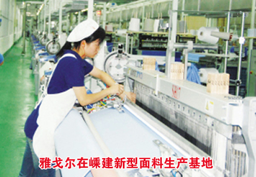 �Ÿ�����ӽ����͸ߵ���֯������������ 