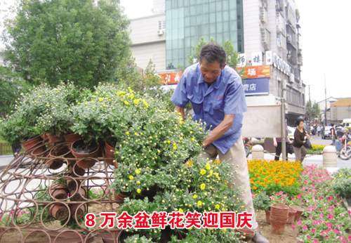 ��ͼ�ġ�8�������ʻ�Цӭ����