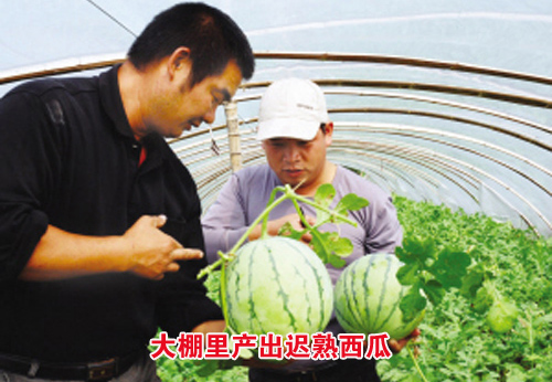 ��ͼ�ġ������������������