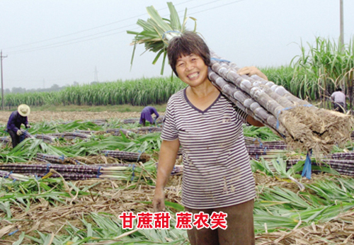 ��ͼ�ġ������򣺸����� ��ũЦ