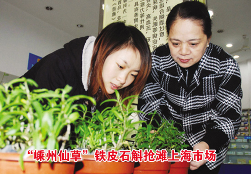 �������ɲݡ���Ƥʯ����̲�Ϻ��г�