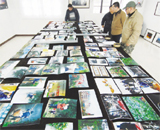 ��ͼ�ġ������Ӱ��������