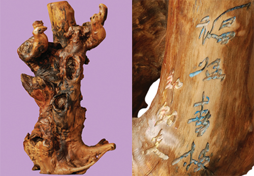 ����Ʒ�����ٴ�֦�������ڼ�