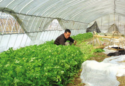 ��ͼ�ġ������������ 