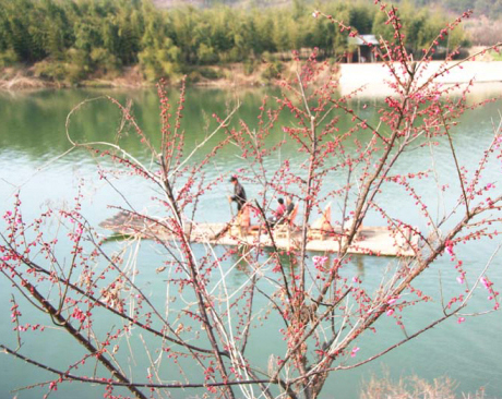 ʩ���÷�����࿪�� �ο��;���Ȥ��Ũ