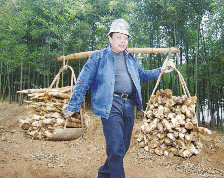 ��ͼ�ġ�һ������2000Ԫ