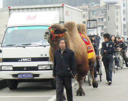 ��ɳĮ֮�ۡ����� ���������Ӱ