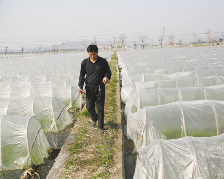 ��ͼ�ġ�����3000Ķ���׳���ϲ��