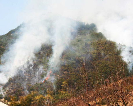 ����ǿ�ڷ���ɽ�ֻ��� ��������˾�