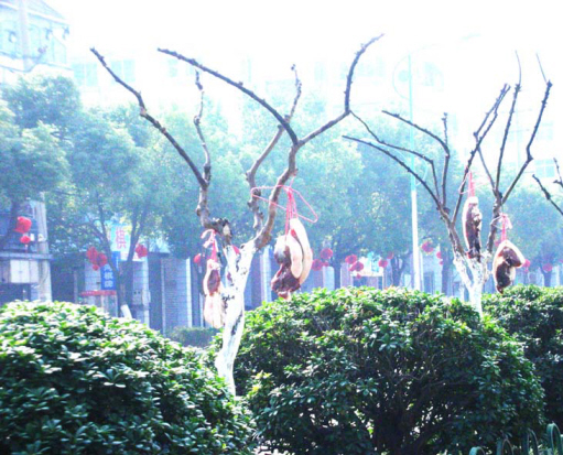 ��ͼ�ġ�����̻�����ɹ�⣬���ţ�