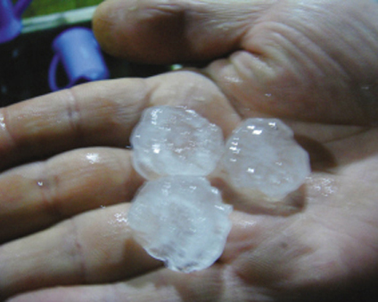 ��������ͻ������