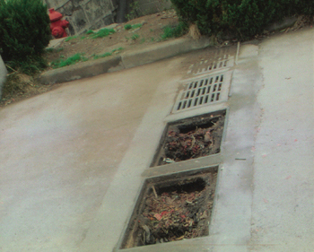 ��ͼ�ġ��������г���������·��