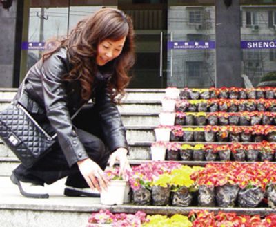 �ʻ����������ᡱ