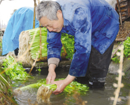 ��ͼ�ġ��������� �˼�����