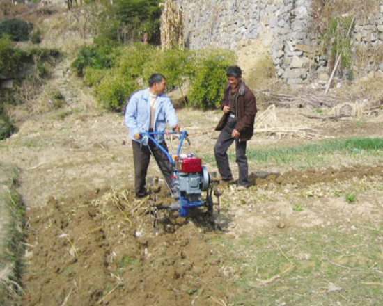 ����ţ���ϸ�ɽ ����Ц����