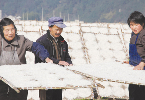 ��ͼ�ġ���������ɹե��