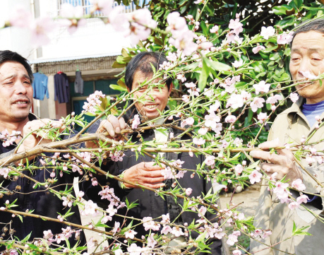 ��ͼ�ġ��һ�ʢ�� ����Ũ