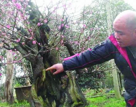 ��ͼ�ġ���÷�����涷��