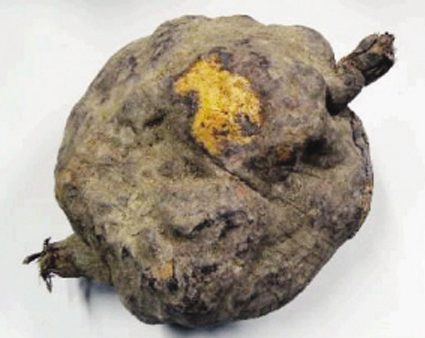 ����һ����ɵú������κ�����