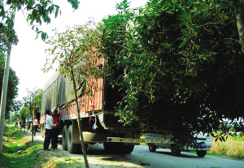 ������𻨡��ֽ���������԰