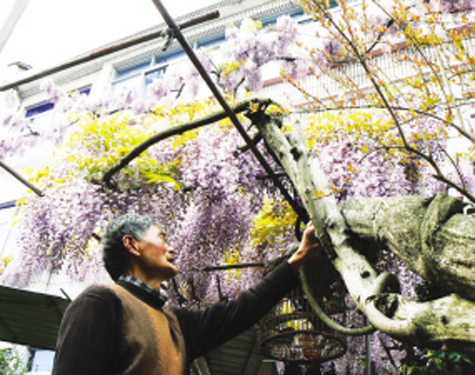 ǧ��������ٿ� ��������������