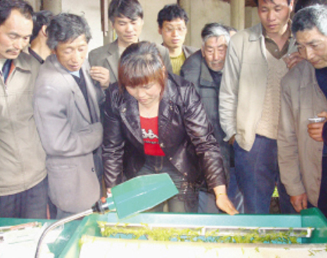 ��ͼ�ġ�����ѵ��ɽ��