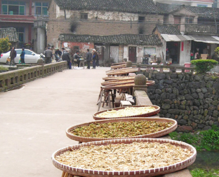 ��ͼ�ġ�ũ�����Ʈ��