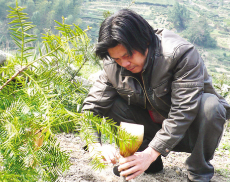 ��ͼ�ġ����޽�����ʱ