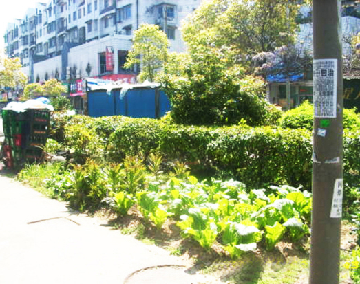 �����̵� ���ܱ�Ϊ˽�˲�԰