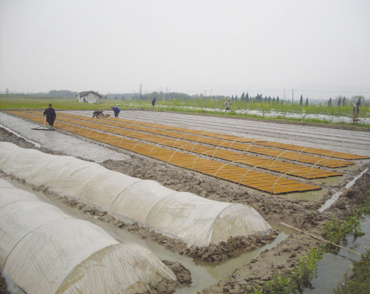 ˮ�������������³衱�����������̹��