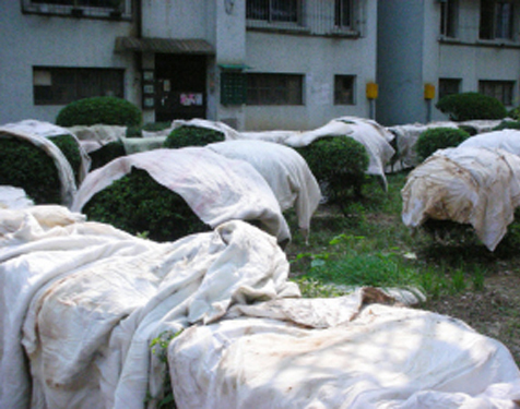 �������ɹ�±� Ϊ��С���ܡ����ۡ�