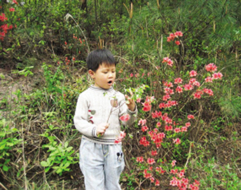 ���������� ��������������