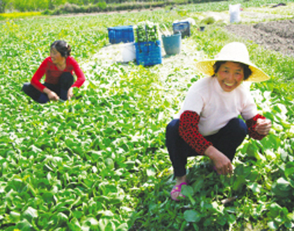 ������ũ�����ݲ��г�