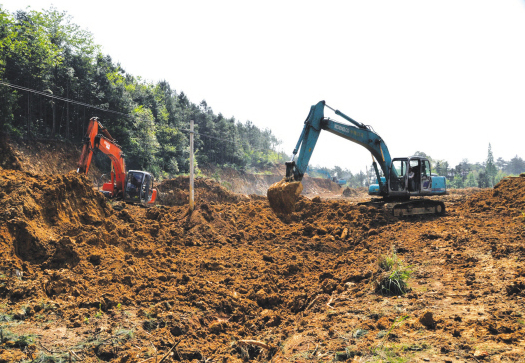 �㽭��Ȫ�����ʶȼ������������Ȳ��ƽ�