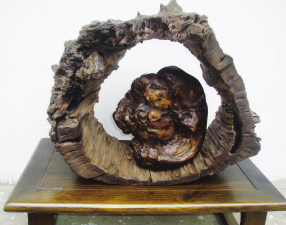 �������չ�Ĳ���ϲ�����