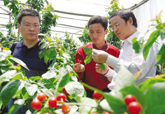 ���𶦡��ɹ�������Ʒ��ӣ��