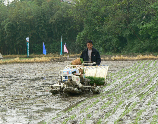 ��ʳ������е����ũ����