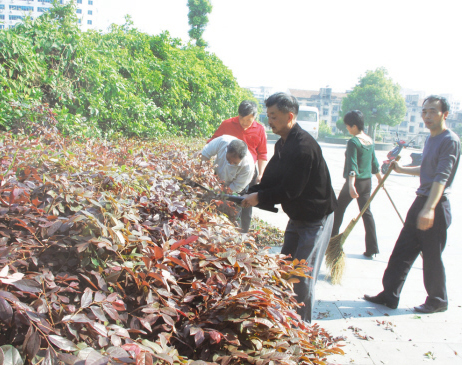 Ϊ������������һ������