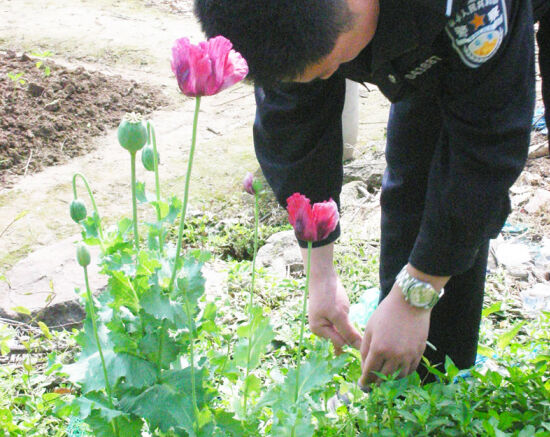 Ѳ���񾯲���·�ߵ���ڻ�