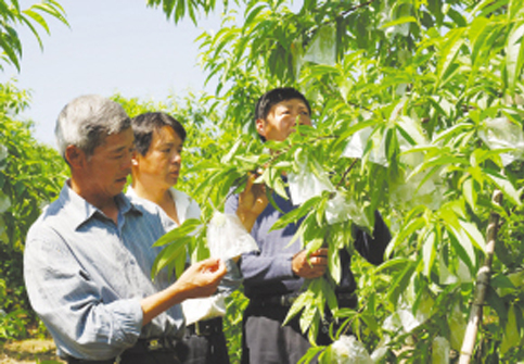 ��ͼ�ġ����ס����¼��� ˮ������Ʒ