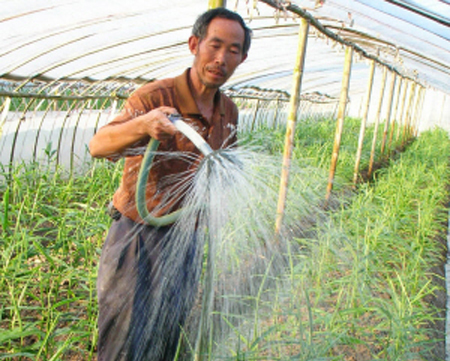 ��ũ��æ�Ÿ�������ˮ