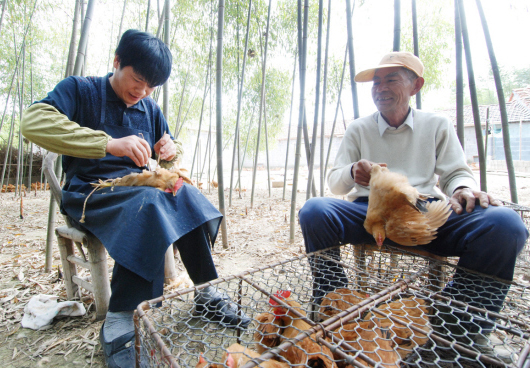 ��ͼ�ġ������˼���Ч��