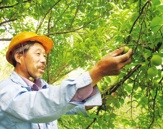 ���������÷����Ҳ������