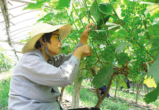 ��ͼ�ġ�Ϊ������� ���ʱ�����