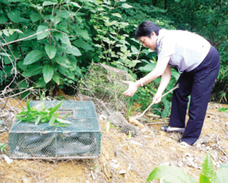 ����Ұ������ ������̬����