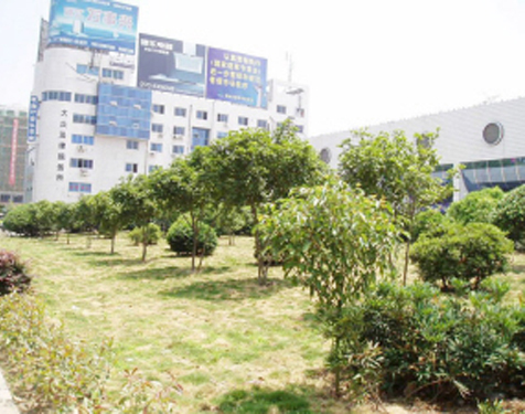 ԭ���Ӳݴ��� ������������