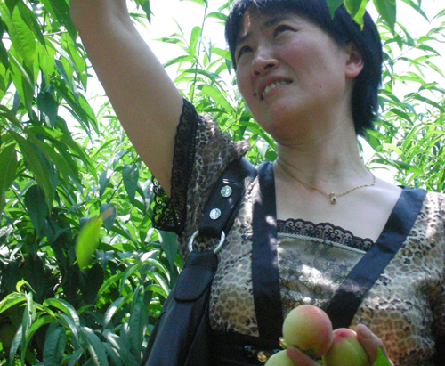 ���絽 ժ��æ